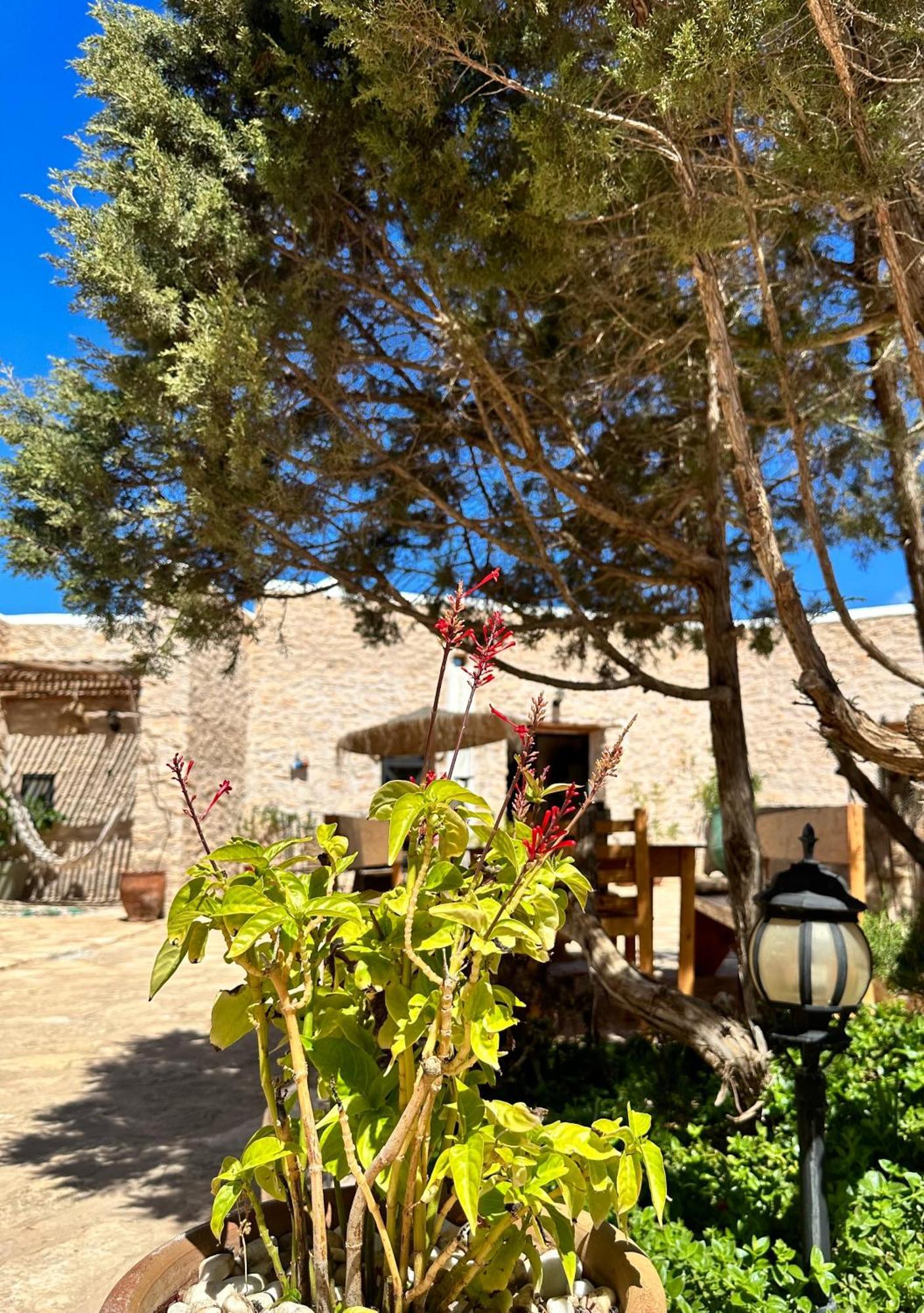 Atlantis 12, Maison D'Hotes Et D'Art Essaouira Eksteriør bilde